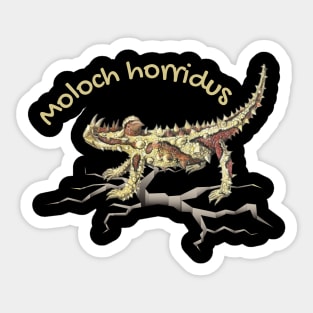 Moloch horridus Sticker